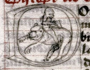 Monkey Riding a Bear